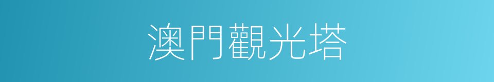 澳門觀光塔的同義詞