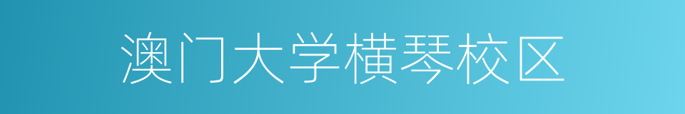 澳门大学横琴校区的同义词