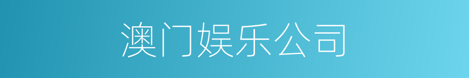 澳门娱乐公司的同义词