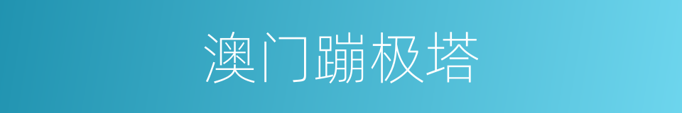 澳门蹦极塔的同义词