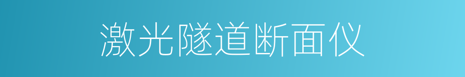 激光隧道断面仪的同义词