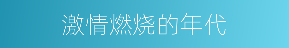 激情燃烧的年代的同义词