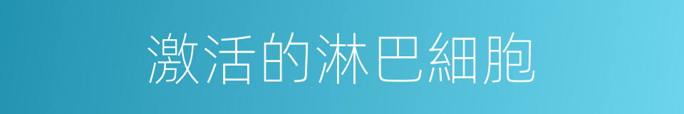 激活的淋巴細胞的同義詞