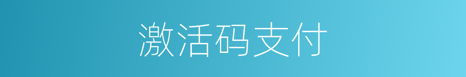 激活码支付的同义词