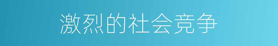 激烈的社会竞争的同义词