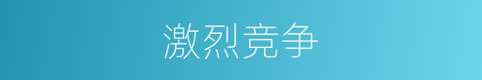 激烈竞争的意思