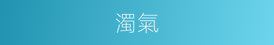 濁氣的意思