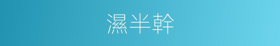 濕半幹的同義詞