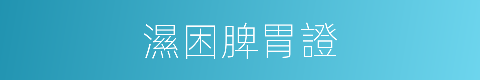 濕困脾胃證的同義詞