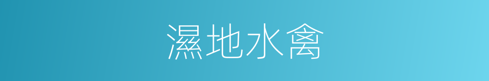 濕地水禽的同義詞