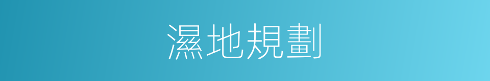 濕地規劃的同義詞