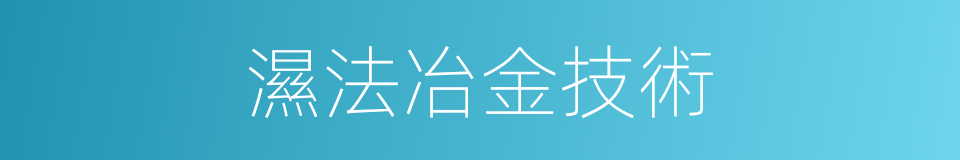 濕法冶金技術的同義詞