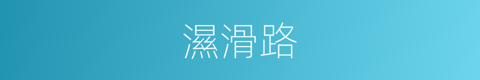 濕滑路的同義詞