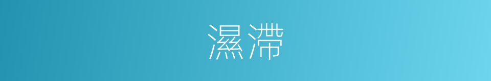 濕滯的意思