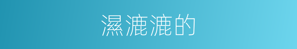 濕漉漉的的同義詞