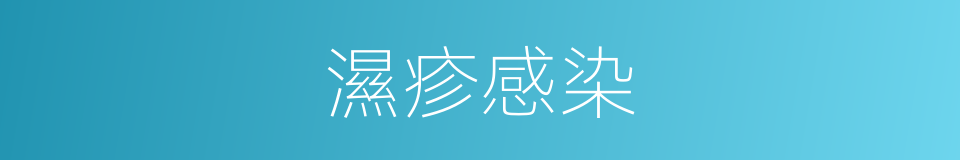濕疹感染的同義詞