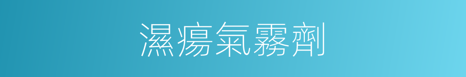 濕瘍氣霧劑的同義詞
