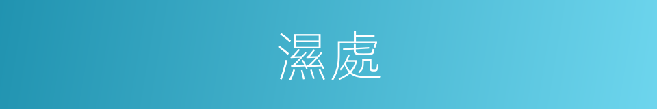 濕處的同義詞
