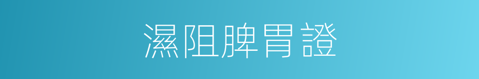 濕阻脾胃證的同義詞