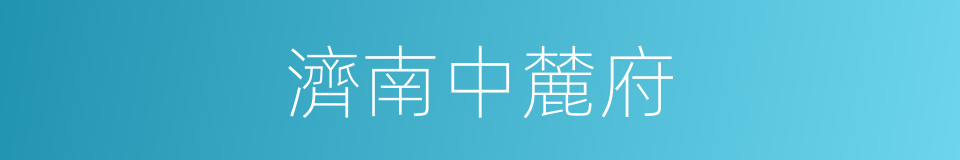 濟南中麓府的同義詞