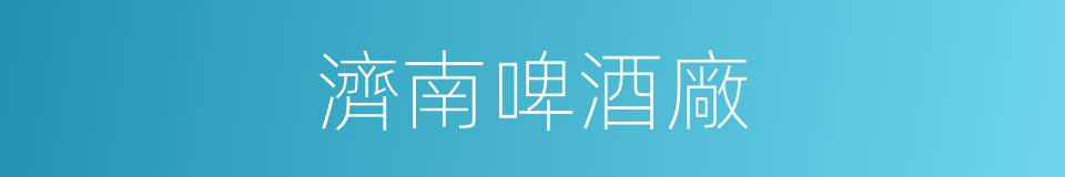濟南啤酒廠的同義詞
