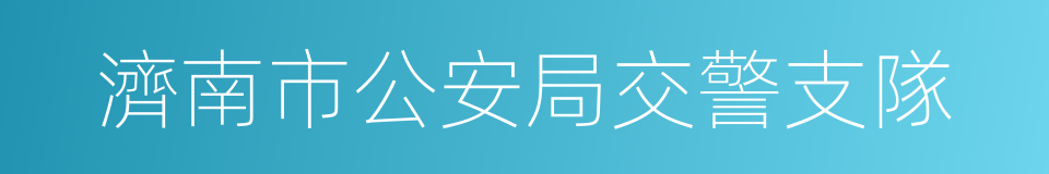 濟南市公安局交警支隊的同義詞