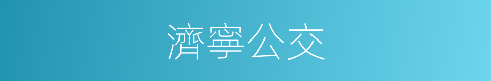 濟寧公交的同義詞