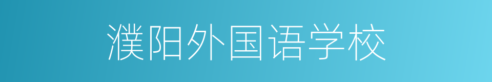 濮阳外国语学校的同义词