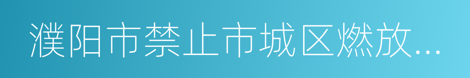 濮阳市禁止市城区燃放烟花爆竹规定的同义词