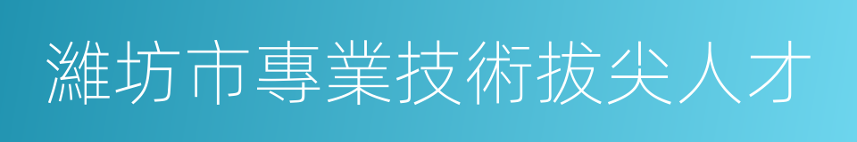 濰坊市專業技術拔尖人才的同義詞