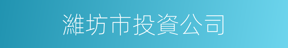 濰坊市投資公司的同義詞