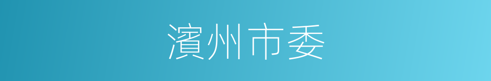 濱州市委的同義詞