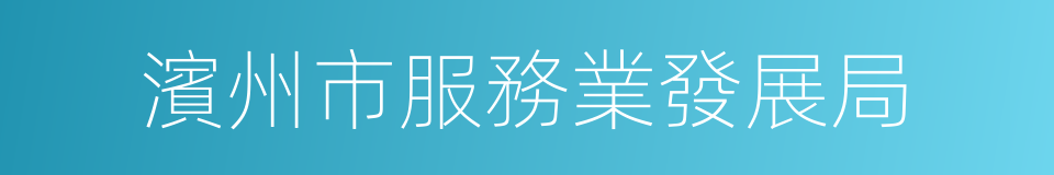 濱州市服務業發展局的同義詞