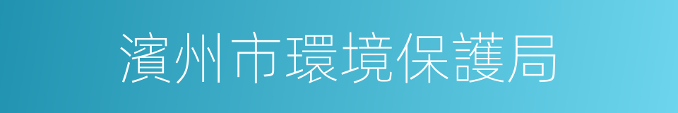 濱州市環境保護局的同義詞