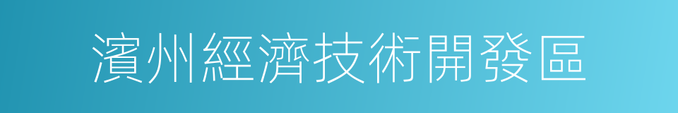 濱州經濟技術開發區的同義詞