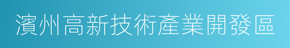 濱州高新技術產業開發區的同義詞