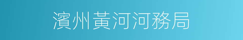 濱州黃河河務局的同義詞