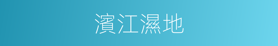 濱江濕地的同義詞
