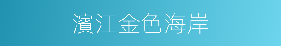 濱江金色海岸的同義詞