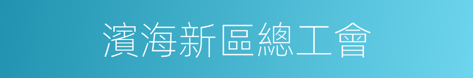 濱海新區總工會的同義詞