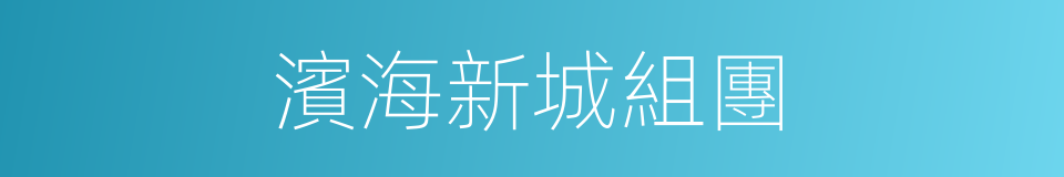 濱海新城組團的同義詞