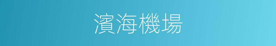 濱海機場的同義詞