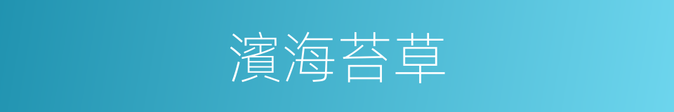 濱海苔草的同義詞