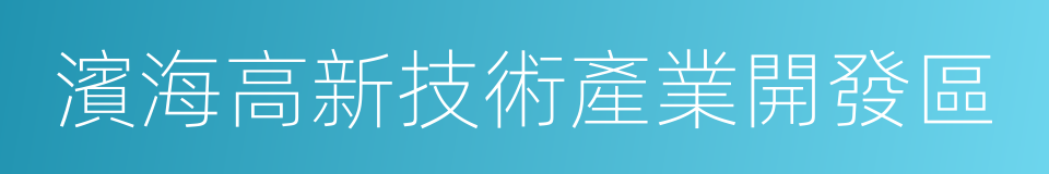 濱海高新技術產業開發區的同義詞