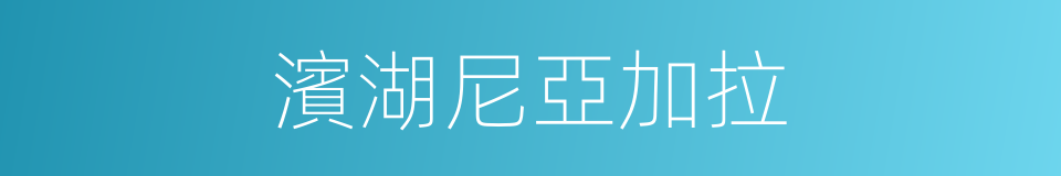 濱湖尼亞加拉的同義詞