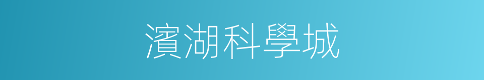 濱湖科學城的同義詞