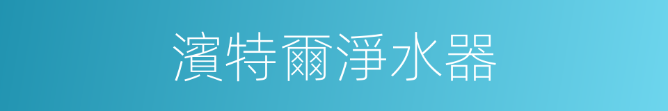 濱特爾淨水器的同義詞