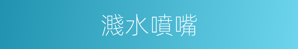 濺水噴嘴的同義詞