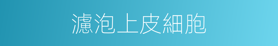 濾泡上皮細胞的同義詞