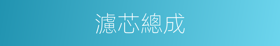 濾芯總成的同義詞